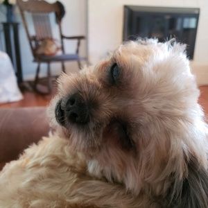 Meet your Posher, Barry